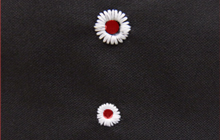 丸穴（菊穴）